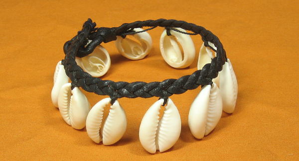 �q���L�u���X���b�g�E�u���L�i�t�@�\���A�t���J�̃r�[�Y�A�N�Z�T���[