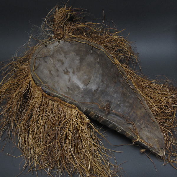 o\Q̃}XN()ERS勤aAtJ̉(ؒ)