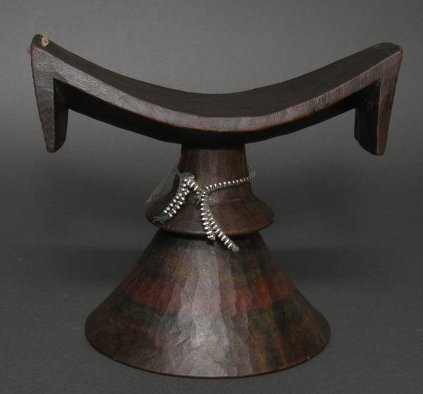 �ؒ���̖��E�G�`�I�s�A<�A�t���J�̖ؒ��Ƌ�E����