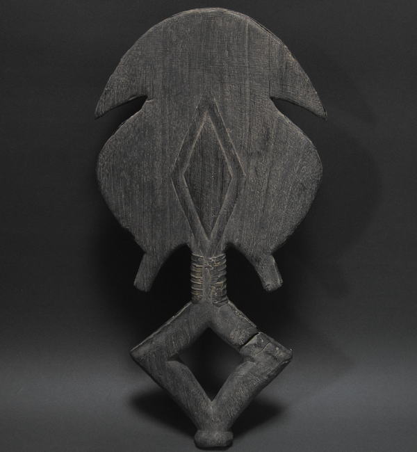 �o�R�^�̈⍜���̎�쑜�E�K�{��or�R���S���a��<�A�t���J�̖ؒ��葜