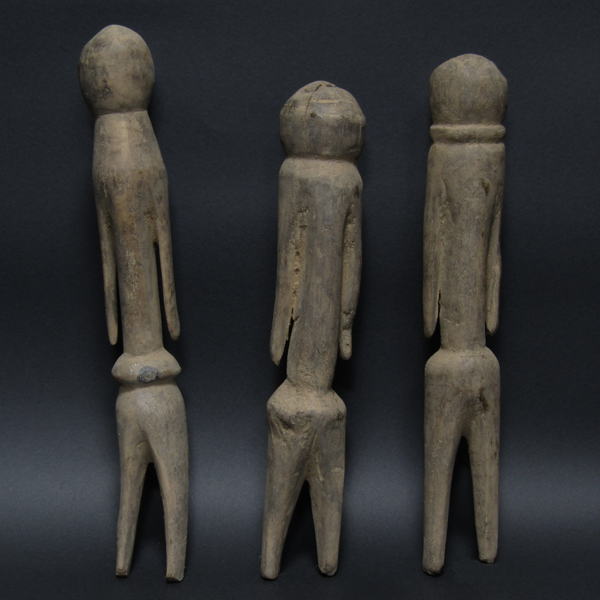 ���o��TCHITCHERI��(��)�E�g�[�S<�A�t���J�̖ؒ��葜