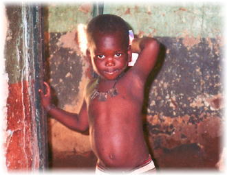 �A�t���J�G�݃A�U���C�F�A�t���J�G�݁E���|�i���X