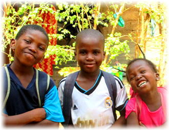 �A�t���J�G�݃A�U���C�F�A�t���J�G�݁E���|�i���X