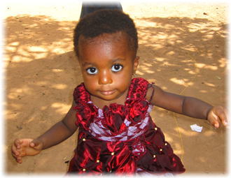 �A�t���J�G�݃A�U���C�F�A�t���J�G�݁E���|�i���X