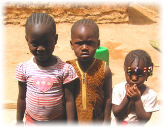 �A�t���J�G�݃A�U���C�F�A�t���J�G�݁E���|�i���X