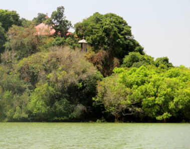 �^�i�΂̏����ɒu���ꂽ�G�`�I�s�A������(�C���@)�F�G�`�I�s�A