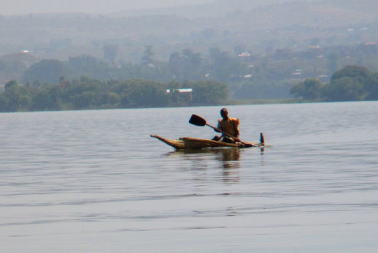 �^�i�΂ň��M�𑆂����t�F�G�`�I�s�A