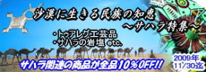 2009年11月:サハラ特集