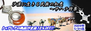 サハラ特集2:24年5月