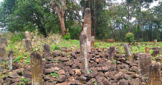 �G�`�I�s�A�암�f�B���߂��̋��Έ�Ձu�g�g�t�@���v