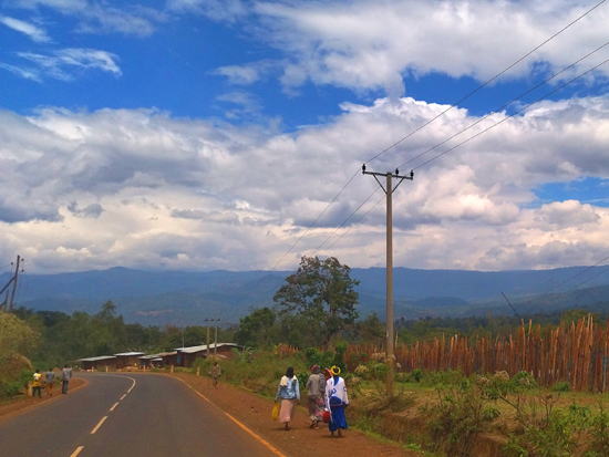 �G�`�I�s�A�암�f�B���ߍx