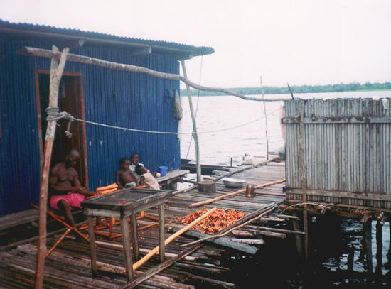 ガーナ：湖上の高床式集落