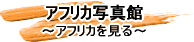 アフリカ写真館