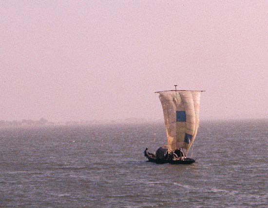 マリ:ニジェール河の帆船