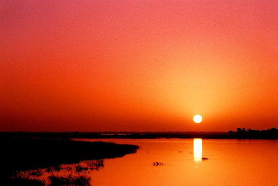 マリ:ニジェール河の夕焼け