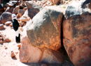 ニジェール：サハラの岩壁画