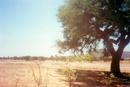 スーダン：ダルフールの旅