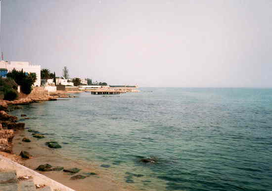 チュニジア：カルタゴ
