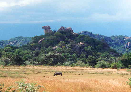 ジンバブウェ：マトボ国立公園・サイ